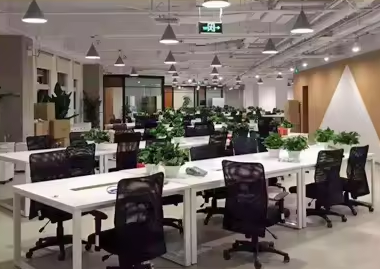 6951242815304.png 03.png